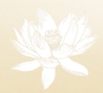 illustration of a white lotus flower